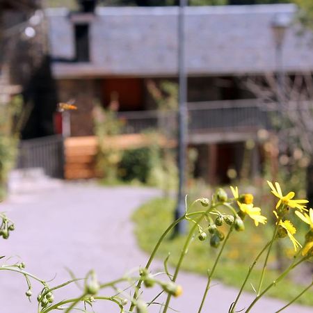 Apartaments Turistics Vilaro 요르츠 외부 사진